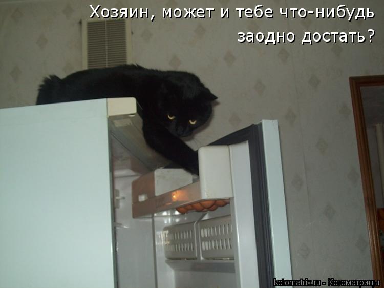 Котоматрица: Хозяин, может и тебе что-нибудь заодно достать?
