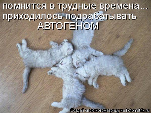 помнится в трудные времена... приходилось подрабатывать АВТОГЕНОМ... Котоматрица: помнится в трудные времена... приходилось подрабатывать АВТОГЕНОМ