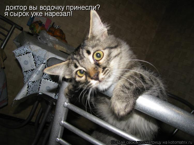 доктор вы водочку принесли? я сырок уже нарезал!... Котоматрица: доктор вы водочку принесли? я сырок уже нарезал!