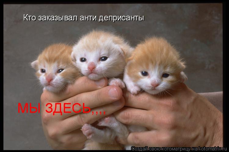 Кто заказывал анти деприсанты МЫ ЗДЕСЬ,,,,... Котоматрица: Кто заказывал анти деприсанты МЫ ЗДЕСЬ,,,,