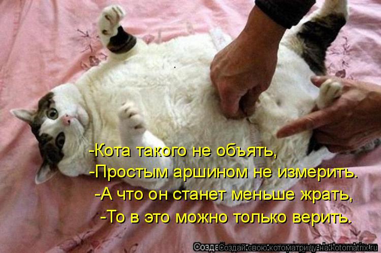 -Кота такого не объять, -Простым аршином не измерить. -А что он станет меньше жрать, -То в это мож... Котоматрица: -Кота такого не объять, -Простым аршином не измерить. -А что он станет меньше жрать, -То в это можно только верить.