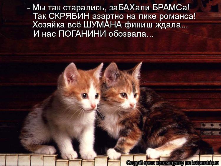 - Мы так старались, заБАХали БРАМСа! Так СКРЯБИН азартно на пике романса! И нас ПОГАНИНИ обозвала... ... Котоматрица: - Мы так старались, заБАХали БРАМСа! Так СКРЯБИН азартно на пике романса! И нас ПОГАНИНИ обозвала... Хозяйка всё ШУМАНА финиш ждала...