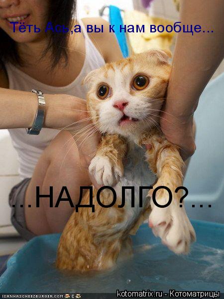 Тёть Ась,а вы к нам вообще... ...НАДОЛГО?...... Котоматрица: Тёть Ась,а вы к нам вообще... ...НАДОЛГО?...
