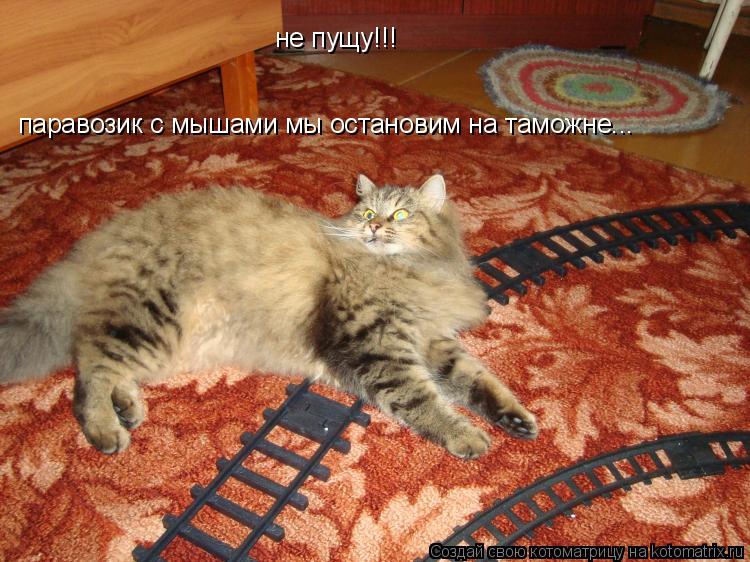 Котоматрица: не пущу!!! паравозик с мышами мы остановим на таможне...