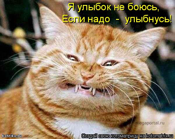 Котоматрица: Я улыбок не боюсь, Если надо  -  улыбнусь!