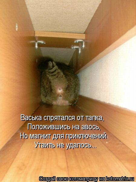 Васька спрятался от тапка, Положившись на авось, Но магнит для приключений Утаить не удалось...... Котоматрица: Васька спрятался от тапка, Положившись на авось, Но магнит для приключений Утаить не удалось...