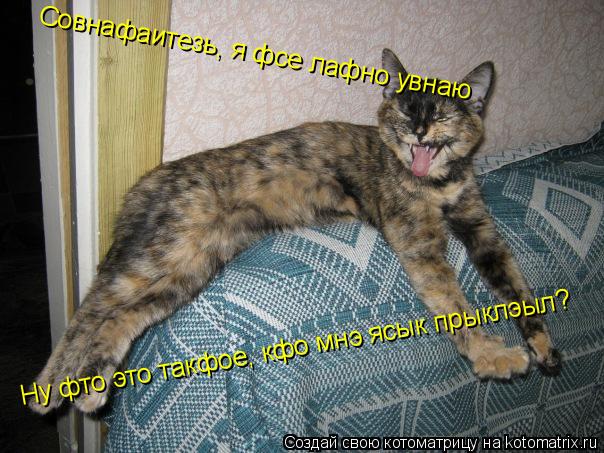 Ну фто это такфое, кфо мнэ ясык прыклэыл? Совнафаитезь, я фсе лафно увнаю... Котоматрица: Ну фто это такфое, кфо мнэ ясык прыклэыл? Совнафаитезь, я фсе лафно увнаю