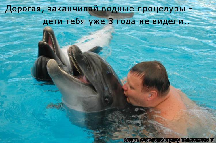 Дорогая, заканчивай водные процедуры - дети тебя уже 3 года не видели..... Котоматрица: Дорогая, заканчивай водные процедуры - дети тебя уже 3 года не видели..