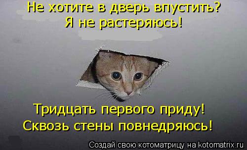 Не хотите в дверь впустить? Я не растеряюсь! Тридцать первого приду! Сквозь стены повнедряюсь!... Котоматрица: Не хотите в дверь впустить? Я не растеряюсь! Тридцать первого приду! Сквозь стены повнедряюсь!