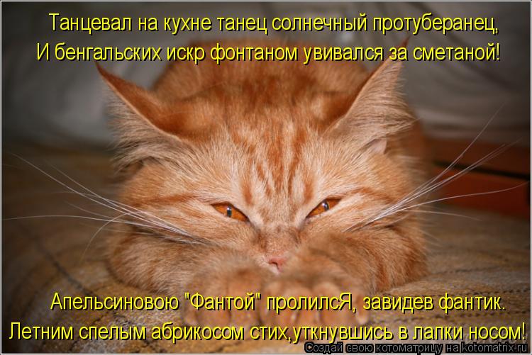 Танцевал на кухне танец солнечный протуберанец, И бенгальских искр фонтаном увивался за сметаной! Апе... Котоматрица: Танцевал на кухне танец солнечный протуберанец, И бенгальских искр фонтаном увивался за сметаной! Апельсиновою "Фантой" пролилсЯ, завидев