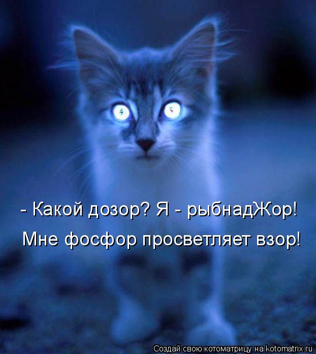 - Какой дозор? Я - рыбнадЖор! Мне фосфор просветляет взор!... Котоматрица: - Какой дозор? Я - рыбнадЖор! Мне фосфор просветляет взор!