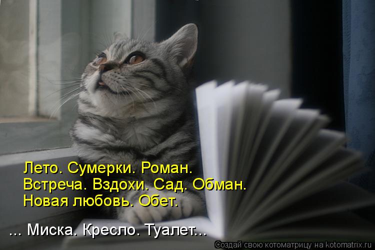 Лето. Сумерки. Роман. Встреча. Вздохи. Сад. Обман. Новая любовь. Обет. ... Миска. Кресло. Туалет.... Котоматрица: Лето. Сумерки. Роман. Встреча. Вздохи. Сад. Обман. Новая любовь. Обет. ... Миска. Кресло. Туалет...