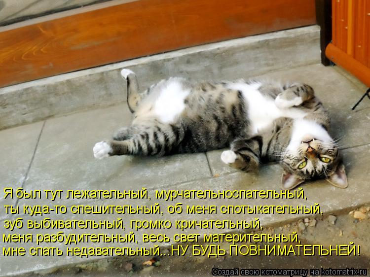 Я был тут лежательный, мурчательноспательный, ты куда-то спешительный, об меня спотыкательный, зуб вы... Котоматрица: Я был тут лежательный, мурчательноспательный, ты куда-то спешительный, об меня спотыкательный, зуб выбивательный, громко кричательный, мен