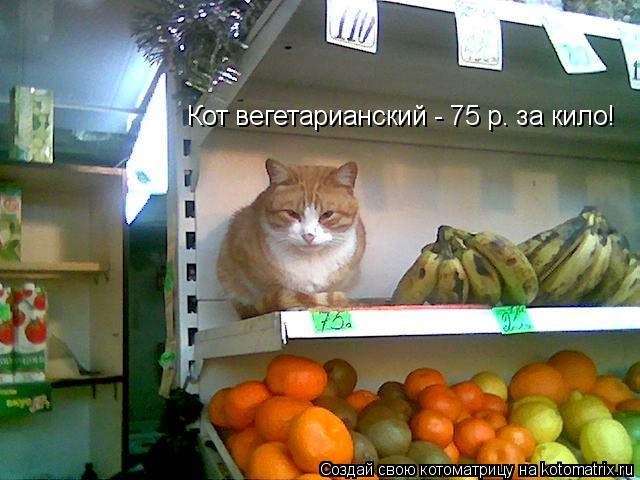 Кот вегетарианский - 75 р. за кило!... Котоматрица: Кот вегетарианский - 75 р. за кило!