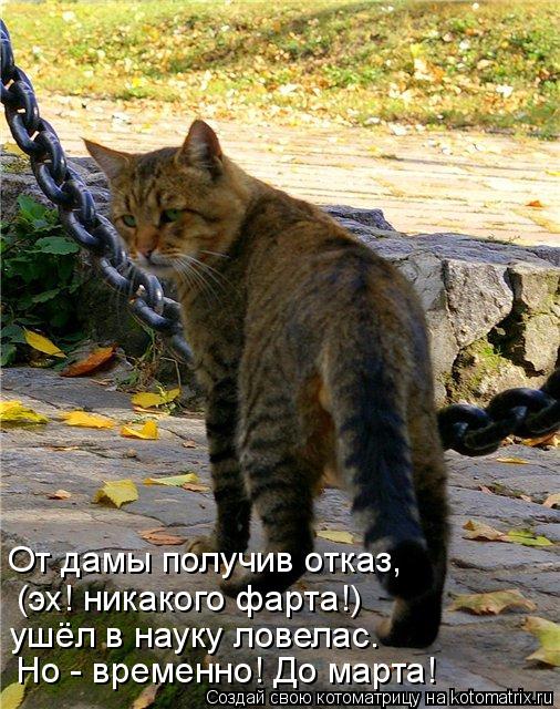 Но - временно! До марта! (эх! никакого фарта!) ушёл в науку ловелас. От дамы получив отказ,... Котоматрица: Но - временно! До марта! (эх! никакого фарта!) ушёл в науку ловелас. От дамы получив отказ,