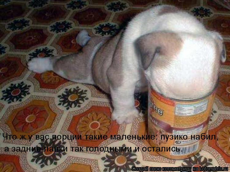 Что ж у вас порции такие маленькие: пузико набил, а задние лапки так голодными и остались.... Котоматрица: Что ж у вас порции такие маленькие: пузико набил, а задние лапки так голодными и остались.