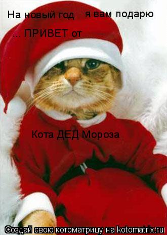 На новый год я вам подарю ... ПРИВЕТ от Кота ДЕД Мороза... Котоматрица: На новый год я вам подарю ... ПРИВЕТ от Кота ДЕД Мороза