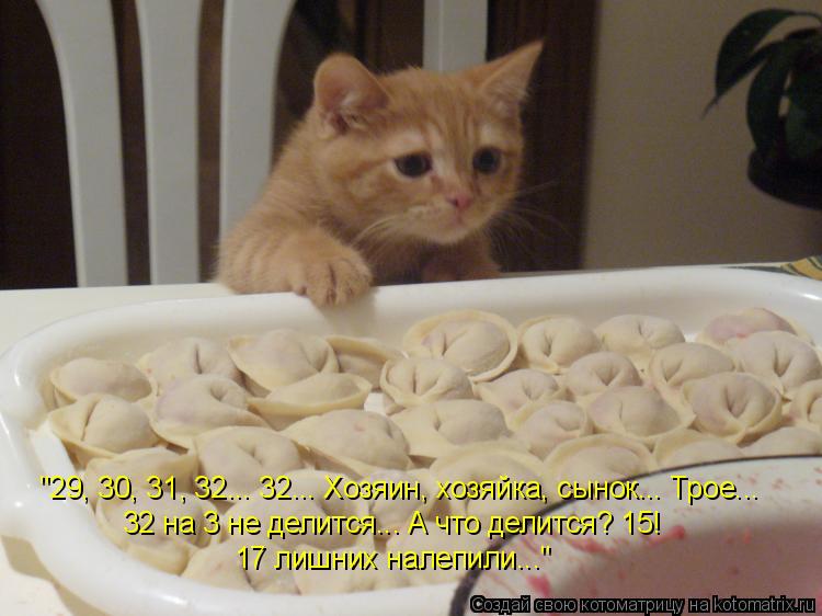 "29, 30, 31, 32... 32... Хозяин, хозяйка, сынок... Трое... 32 на 3 не делится... А что делится? 15! ... Котоматрица: "29, 30, 31, 32... 32... Хозяин, хозяйка, сынок... Трое... 32 на 3 не делится... А что делится? 15! 17 лишних налепили..."