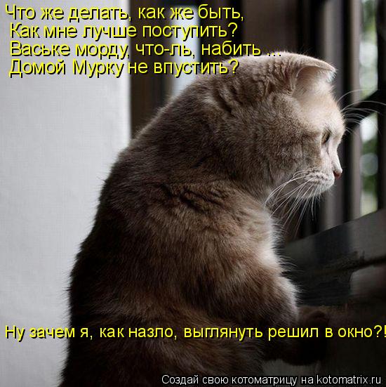Что же делать, как же быть, Как мне лучше поступить? Ваське морду, что-ль, набить ... Домой Мурку не ... Котоматрица: Что же делать, как же быть, Как мне лучше поступить? Ваське морду, что-ль, набить ... Домой Мурку не впустить? Ну зачем я, как назло, выглянуть ре