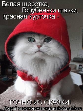 Белая шёрстка, Голубеньки глазки, Красная курточка - ТОЧНО ИЗ СКАЗКИ!... Котоматрица: Белая шёрстка, Голубеньки глазки, Красная курточка - ТОЧНО ИЗ СКАЗКИ!