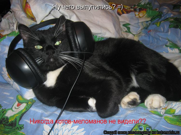 Котоматрица: Ну чего вылупились? =) Никогда котов-меломанов не видели??