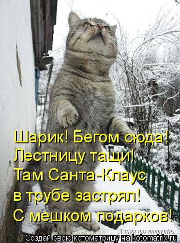 Шарик! Бегом сюда! Лестницу тащи! Там Санта-Клаус в трубе застрял! С мешком подарков!... Котоматрица: Шарик! Бегом сюда! Лестницу тащи! Там Санта-Клаус в трубе застрял! С мешком подарков!