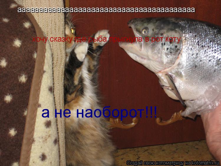 ааааааааааааааааааааааааааааааааааааааааа хочу сказку где рыба прыгнула в рот коту а не наоборот!!!... Котоматрица: ааааааааааааааааааааааааааааааааааааааааа хочу сказку где рыба прыгнула в рот коту а не наоборот!!!