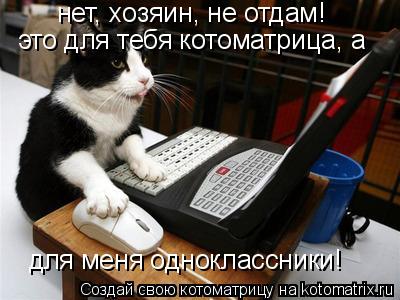 нет, хозяин, не отдам! это для тебя котоматрица, а для меня одноклассники!... Котоматрица: нет, хозяин, не отдам! это для тебя котоматрица, а для меня одноклассники!