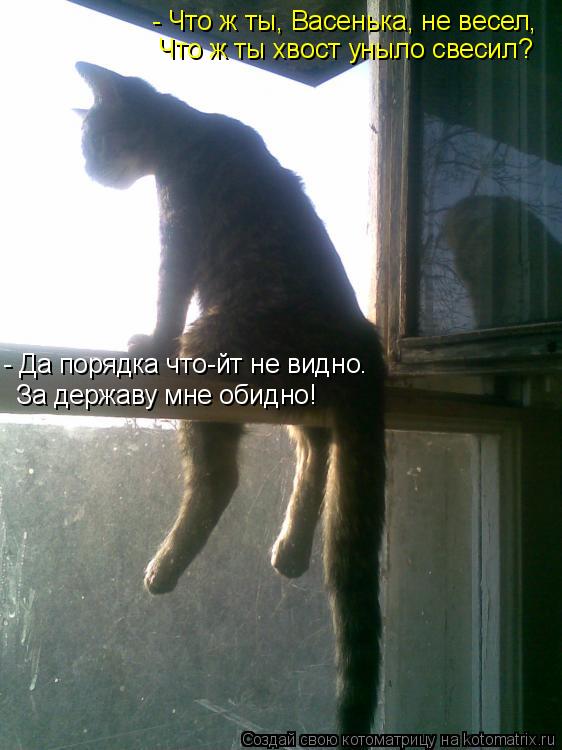 - Что ж ты, Васенька, не весел, - Да порядка что-йт не видно. За державу мне обидно! Что ж ты хвост у... Котоматрица: - Что ж ты, Васенька, не весел, - Да порядка что-йт не видно. За державу мне обидно! Что ж ты хвост уныло свесил?