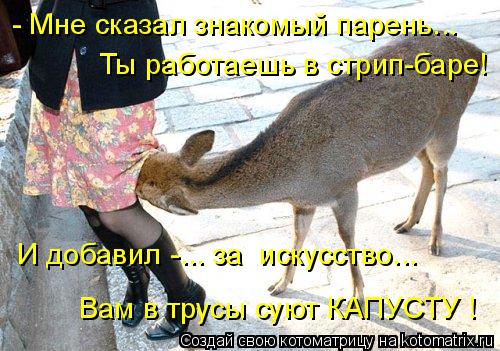 - Мне сказал знакомый парень... Ты работаешь в стрип-баре! И добавил -... за искусство... Вам в трус... Котоматрица: - Мне сказал знакомый парень... Ты работаешь в стрип-баре! И добавил -... за искусство... Вам в трусы суют КАПУСТУ !