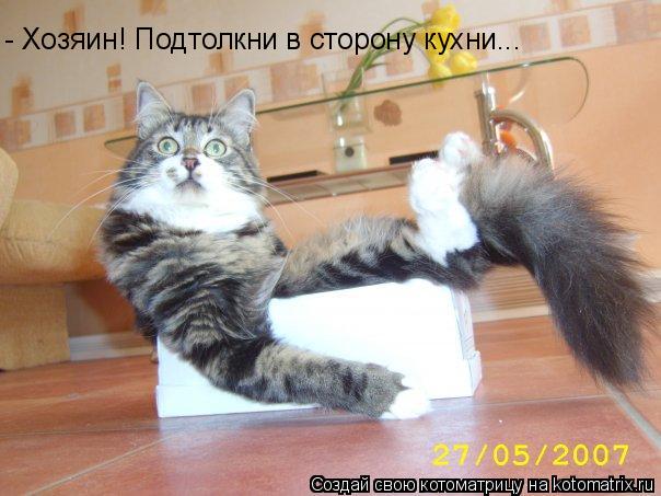 Котоматрица: - Хозяин! Подтолкни в сторону кухни...