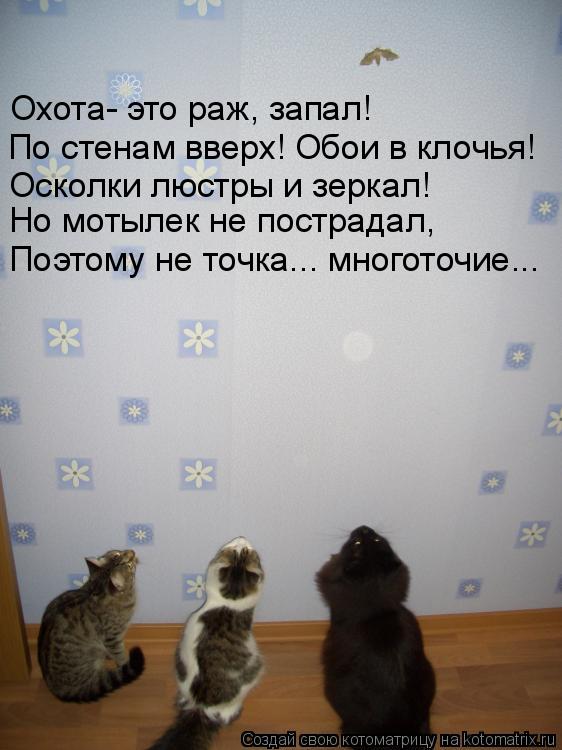 Охота- это раж, запал! По стенам вверх! Обои в клочья! Осколки люстры и зеркал! Но мотылек не пострад... Котоматрица: Охота- это раж, запал! По стенам вверх! Обои в клочья! Осколки люстры и зеркал! Но мотылек не пострадал, Поэтому не точка... многоточие...