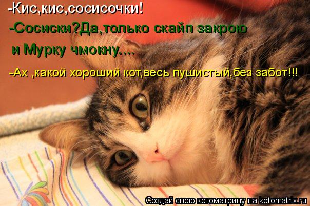 Котоматрица: -Кис,кис,сосисочки! Сосиски?Да,только скайп закрою и чмокну Мурку..... -Сосиски?Да,только скайп закрою и Мурку чмокну.... -Ах ,какой хороший кот,в