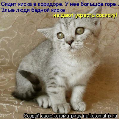Котоматрица: Сидит киска в коридоре. У нее большое горе... Злые люди бедной киске  не дают украсть сосиску!