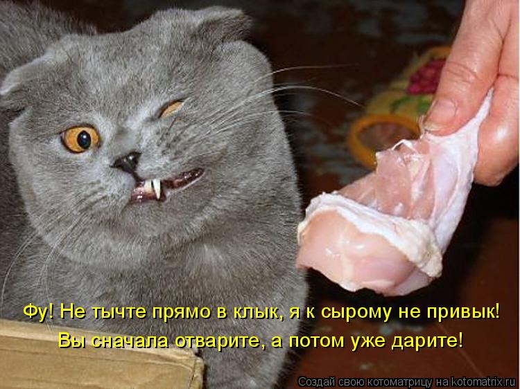Фу! Не тычте прямо в клык, я к сырому не привык! Вы сначала отварите, а потом уже дарите!... Котоматрица: Фу! Не тычте прямо в клык, я к сырому не привык! Вы сначала отварите, а потом уже дарите!