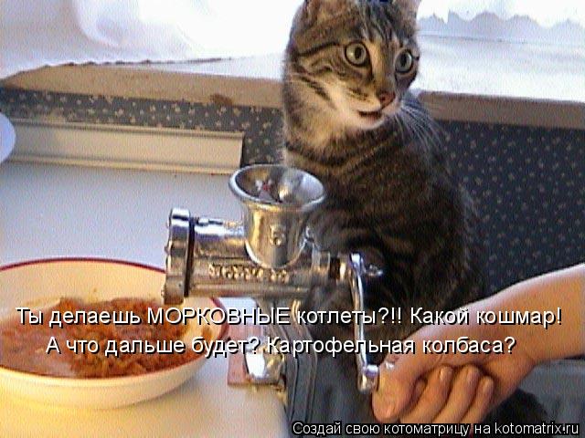 Ты делаешь МОРКОВНЫЕ котлеты?!! Какой кошмар! А что дальше будет? Картофельная колбаса?... Котоматрица: Ты делаешь МОРКОВНЫЕ котлеты?!! Какой кошмар! А что дальше будет? Картофельная колбаса?