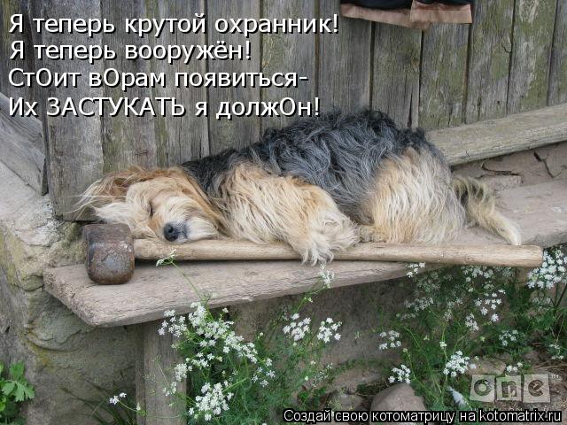 Я теперь крутой охранник! Я теперь вооружён! СтОит вОрам появиться- Их ЗАСТУКАТЬ я должОн!... Котоматрица: Я теперь крутой охранник! Я теперь вооружён! СтОит вОрам появиться- Их ЗАСТУКАТЬ я должОн!
