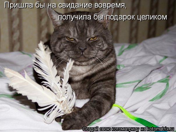 Пришла бы на свидание вовремя, получила бы подарок целиком... Котоматрица: Пришла бы на свидание вовремя, получила бы подарок целиком