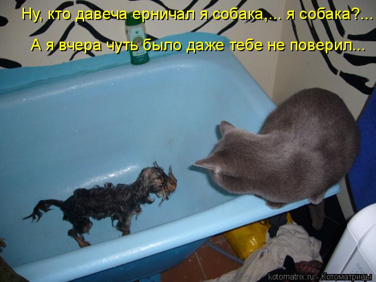 Ну, кто давеча ерничал я собака,... я собака?... А я вчера чуть было даже тебе не поверил...... Котоматрица: Ну, кто давеча ерничал я собака,... я собака?... А я вчера чуть было даже тебе не поверил...