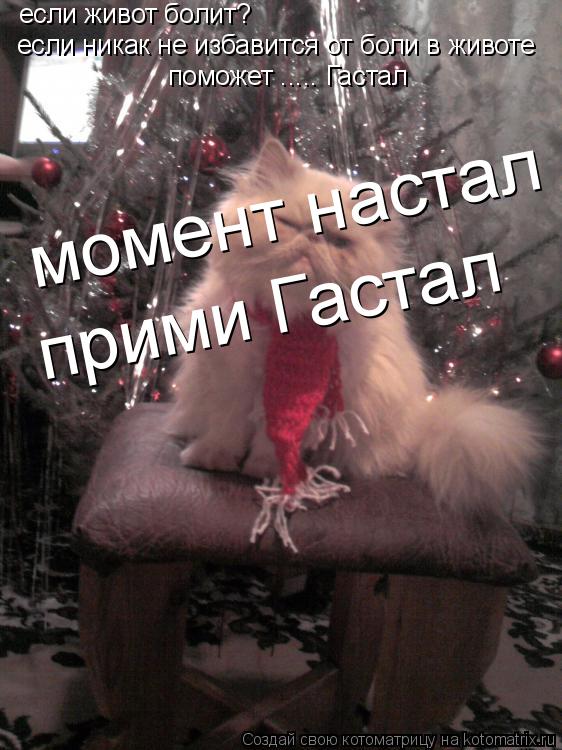 Котоматрица: если живот болит?  если никак не избавится от боли в животе поможет ..... Гастал момент настал  прими Гастал