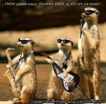 Ребят давай нашу: Конечно Вася, ну кто его не знает!...... Котоматрица: Ребят давай нашу: Конечно Вася, ну кто его не знает!...