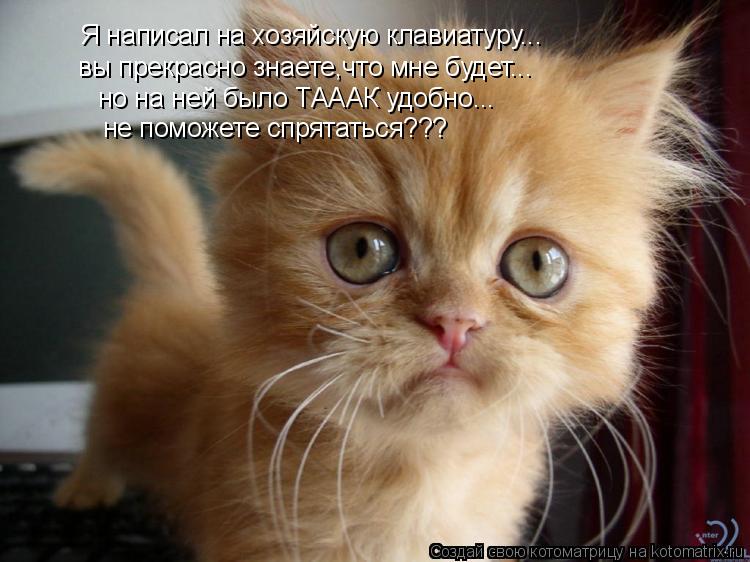 Я написал на хозяйскую клавиатуру... вы прекрасно знаете,что мне будет... но на ней было ТАААК удобно... Котоматрица: Я написал на хозяйскую клавиатуру... вы прекрасно знаете,что мне будет... но на ней было ТАААК удобно... не поможете спрятаться???