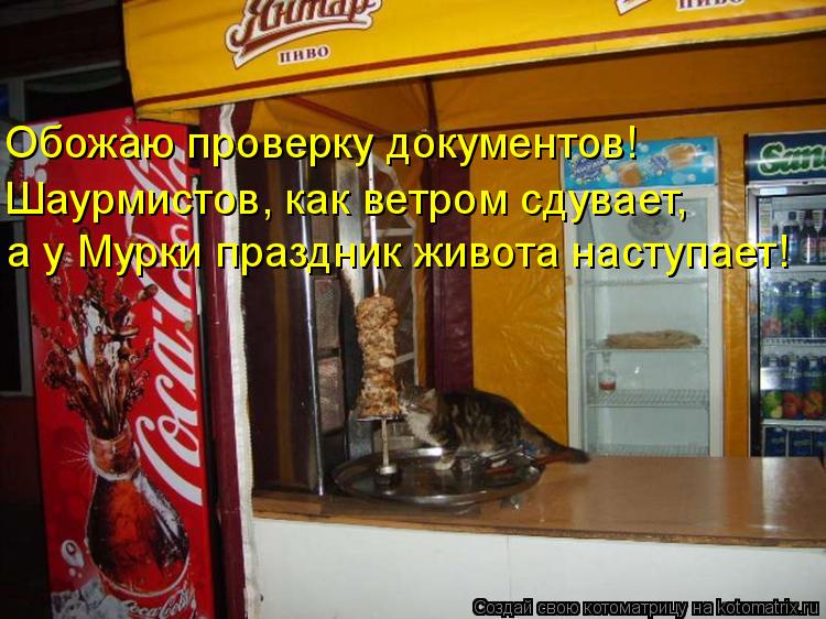 Обожаю проверку документов! Шаурмистов, как ветром сдувает, а у Мурки праздник живота наступает!... Котоматрица: Обожаю проверку документов! Шаурмистов, как ветром сдувает, а у Мурки праздник живота наступает!