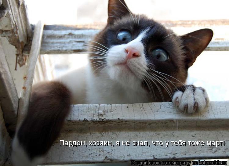 Пардон, хозяин, я не знал, что у тебя тоже март!... Котоматрица: Пардон, хозяин, я не знал, что у тебя тоже март!