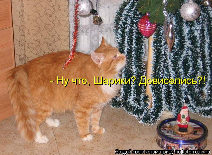 - Ну что, Шарики? Довиселись?!... Котоматрица: - Ну что, Шарики? Довиселись?!