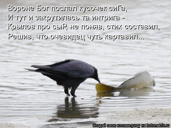 Котоматрица: Вороне Бог послал кусочек сиГа, И тут и закрутилась та интрига - Крылов про сыР, не поняв, стих составил, Решив, что очевидец чуть картавил...