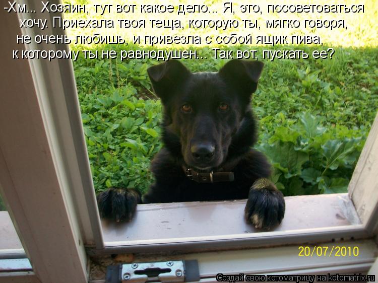 Котоматрица: -Хм... Хозяин, тут вот какое дело... Я, это, посоветоваться  хочу. Приехала твоя теща, которую ты, мягко говоря,  не очень любишь, и привезла с соб