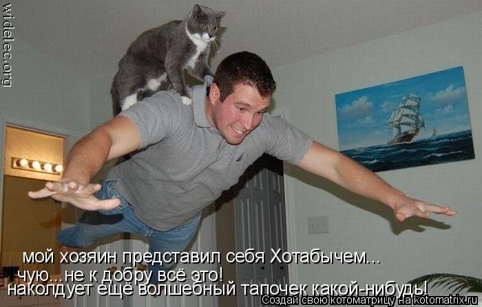 Котоматрица: мой хозяин представил себя Хотабычем... чую...не к добру всё это! наколдует ещё волшебный тапочек какой-нибудь!