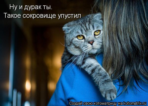 Ну и дурак ты. Такое сокровище упустил... Котоматрица: Ну и дурак ты. Такое сокровище упустил