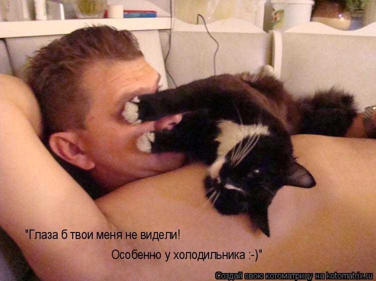 "Глаза б твои меня не видели! Особенно у холодильника :-)"... Котоматрица: "Глаза б твои меня не видели! Особенно у холодильника :-)"